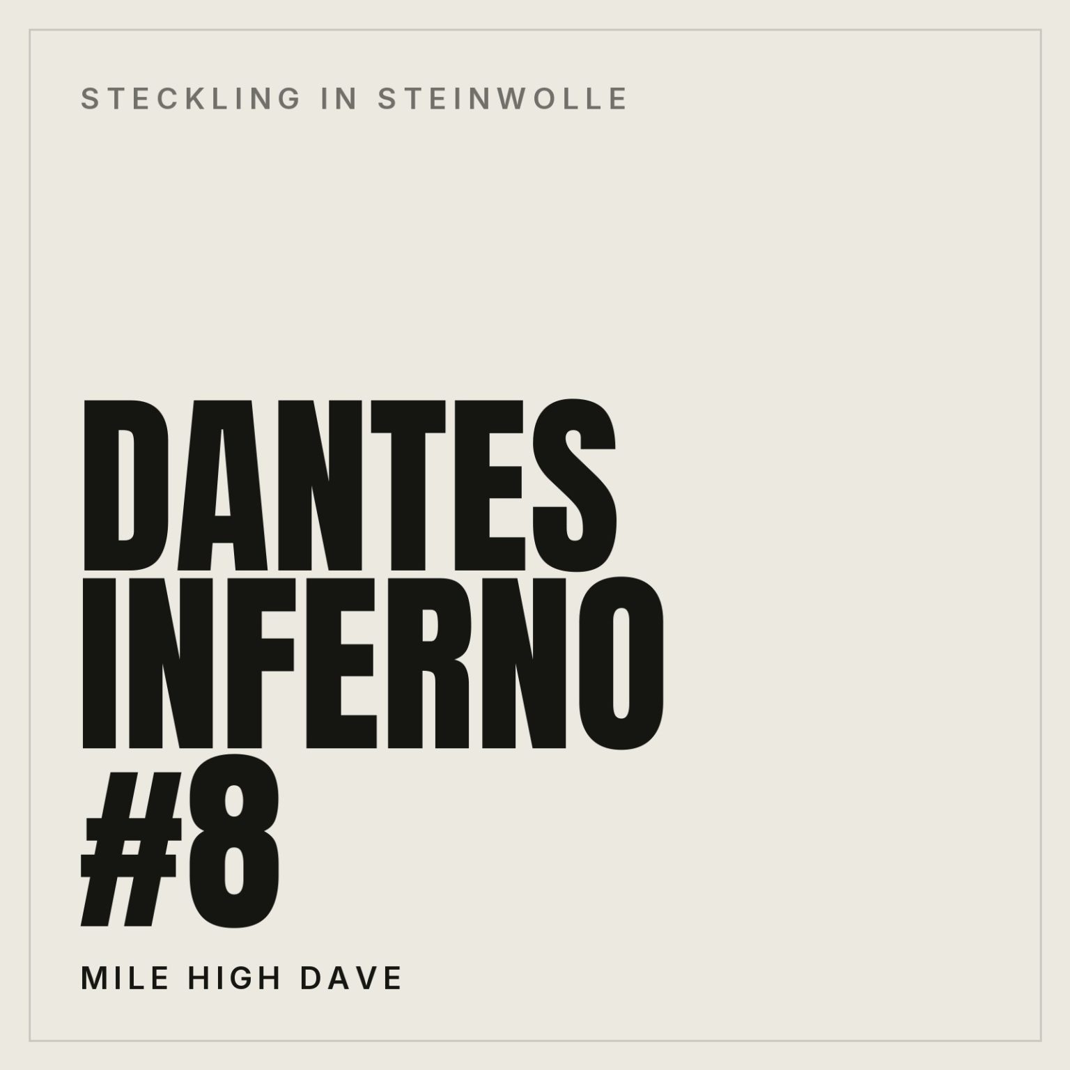 Dantes Inferno #8 Steckling