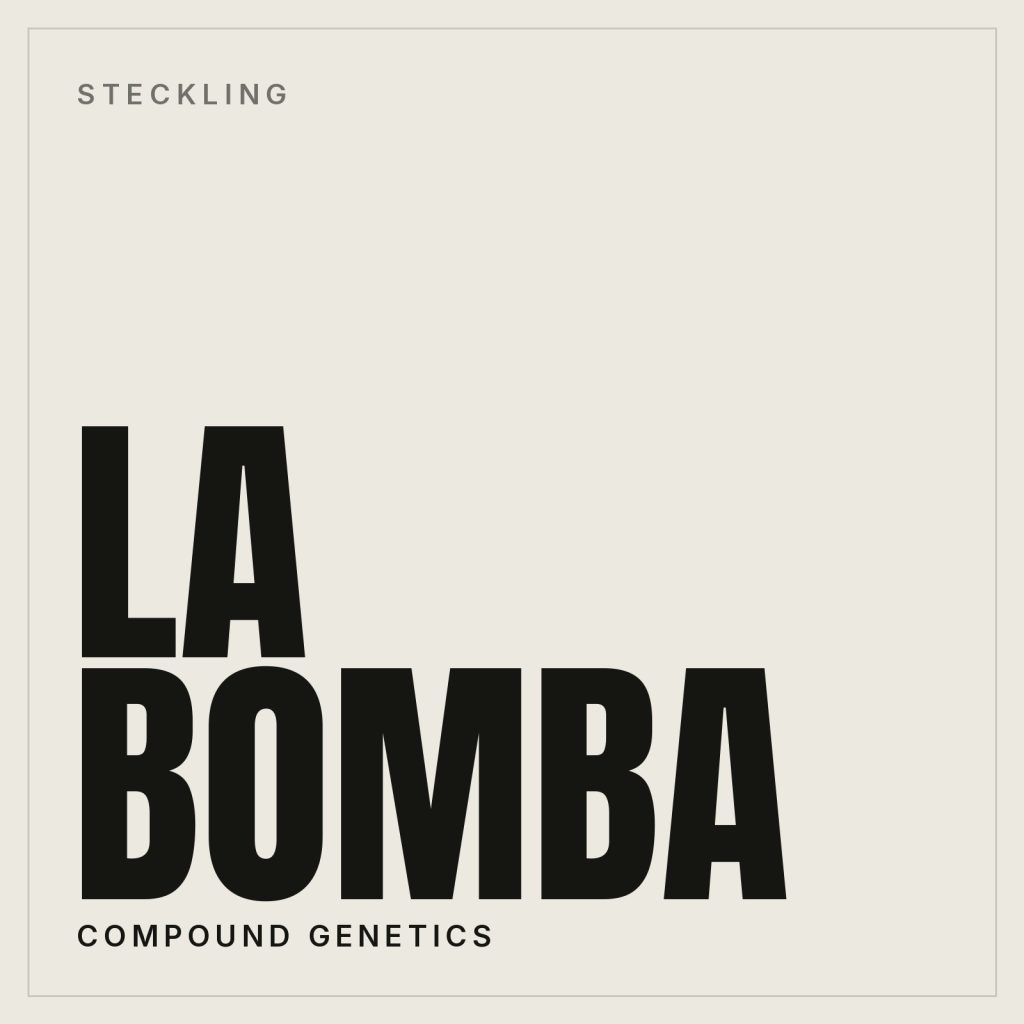 La Bomba Steckling, Compound Genetics Cut