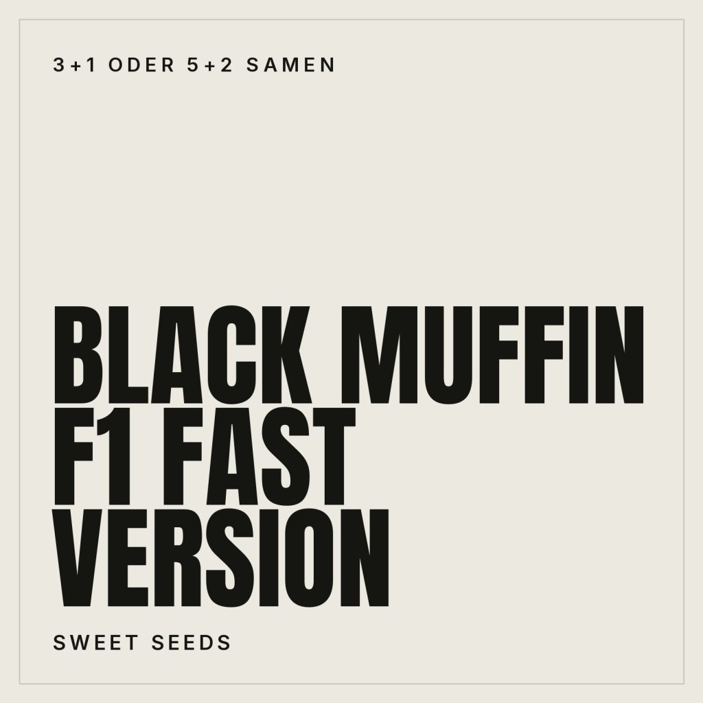 Sweet Seeds Black Muffin F1 Fast Version® Hanfsamen