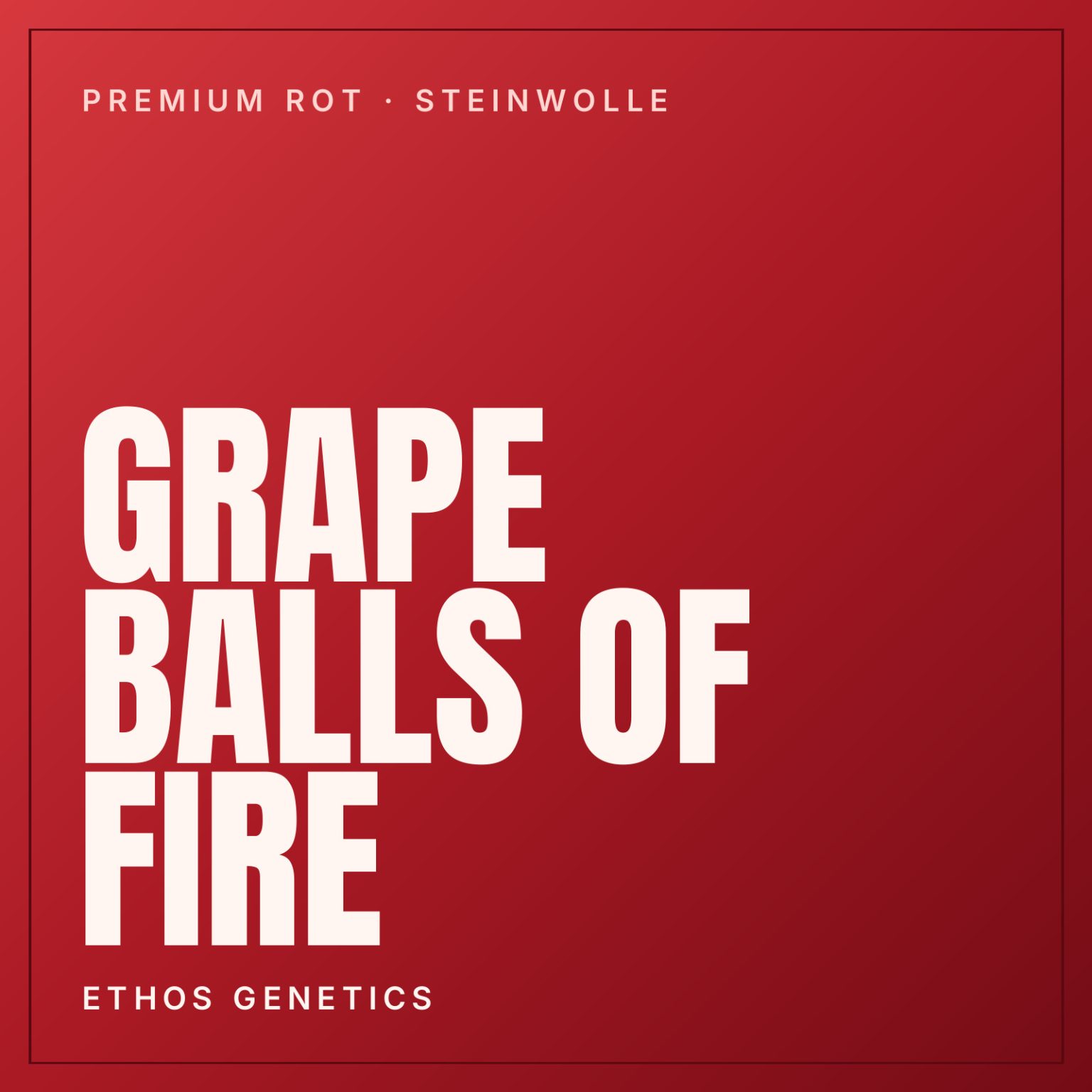 Grape Balls of Fire Steckling