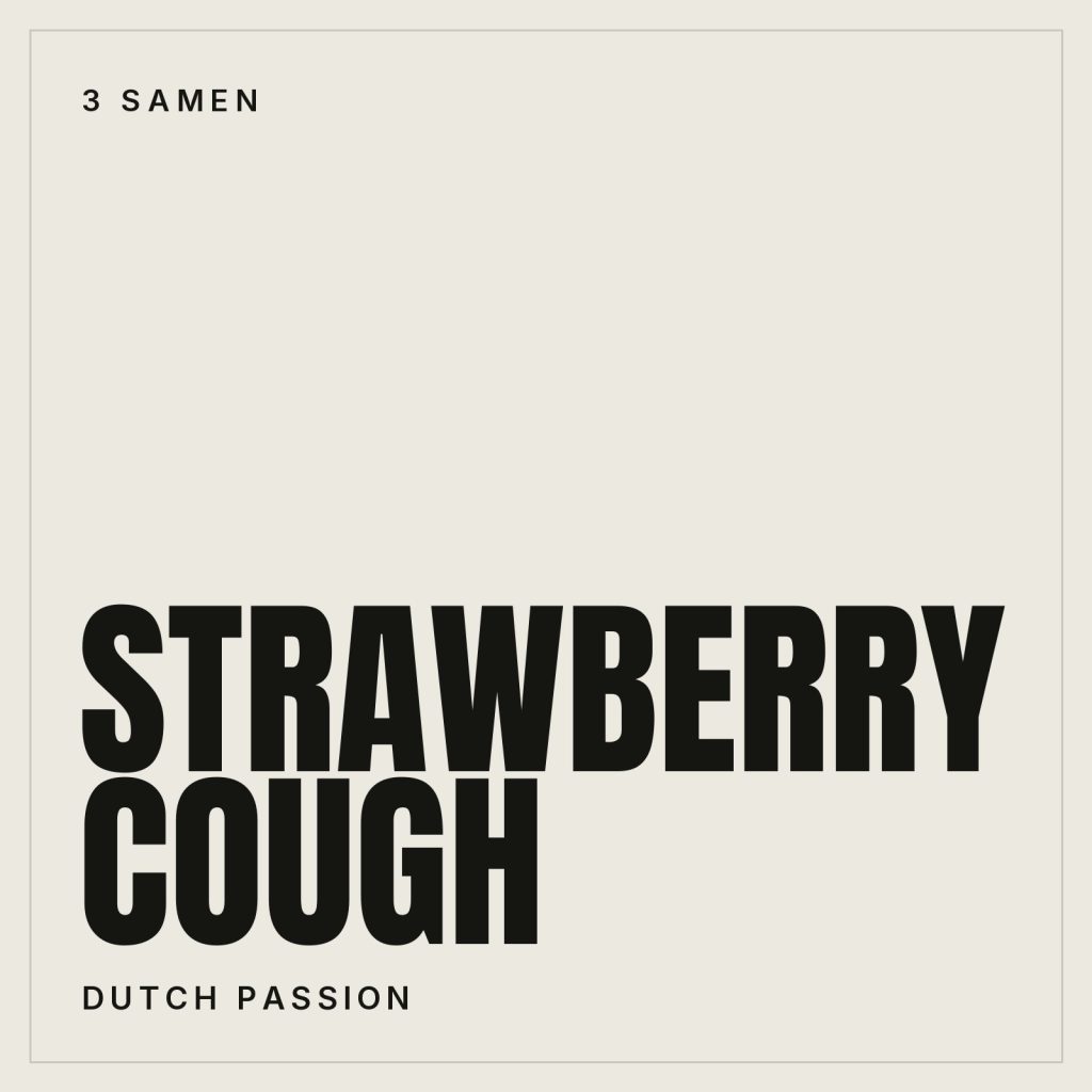 Dutch Passion Strawberry Cough Feminisierte Hanfsamen
