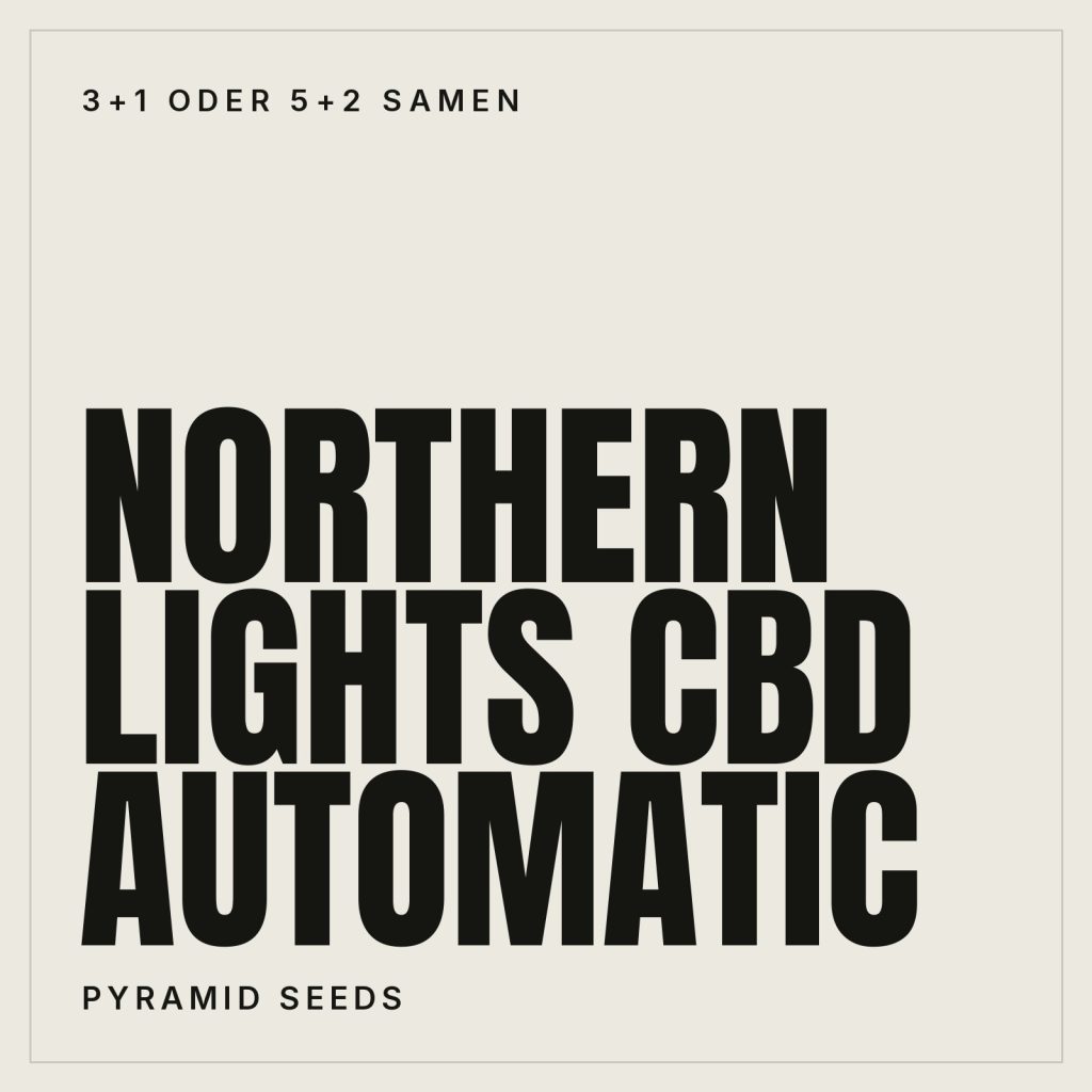 Pyramid Seeds Northern Lights CBD Hanfsamen - Autoflowering