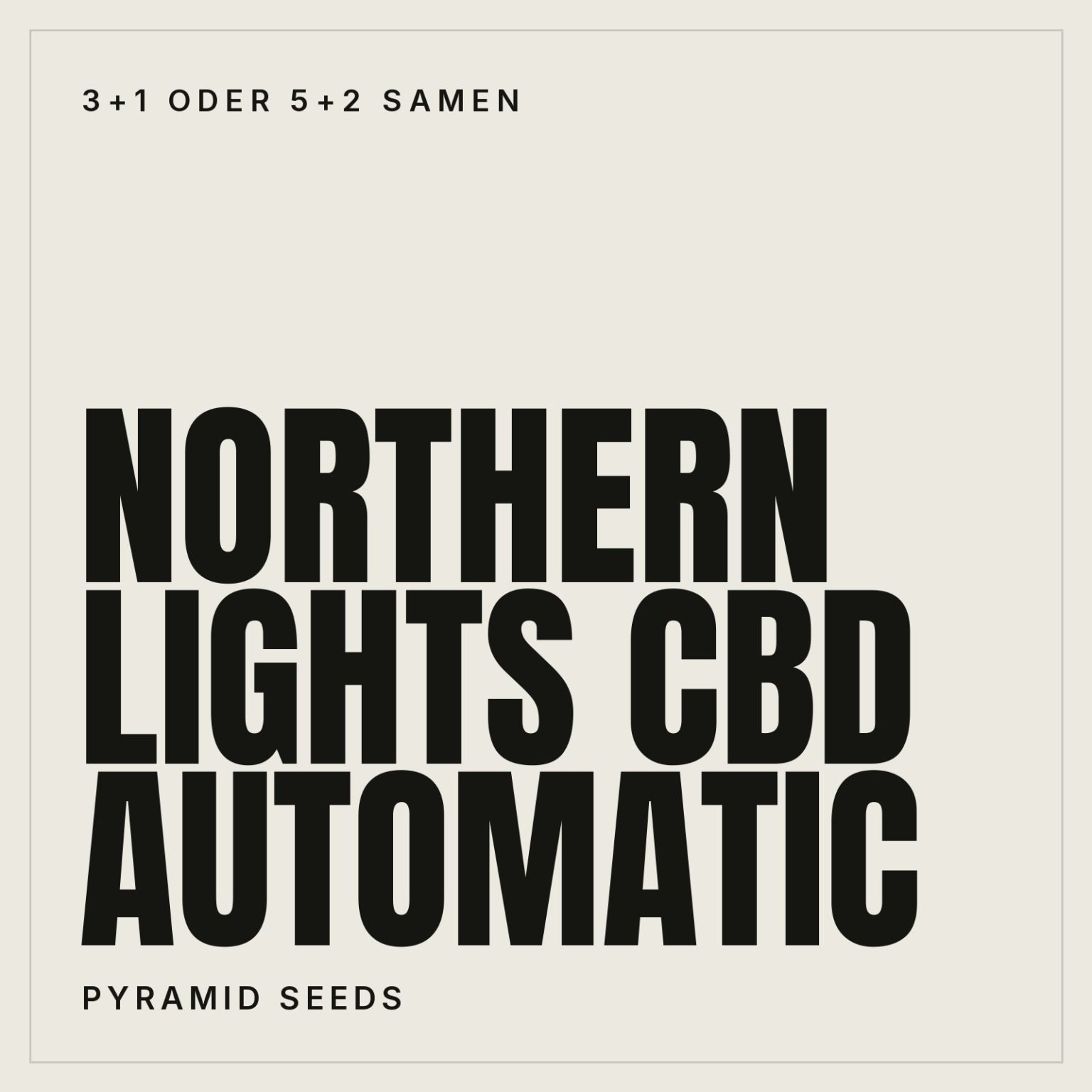 Pyramid Seeds Northern Lights CBD Hanfsamen - Autoflowering