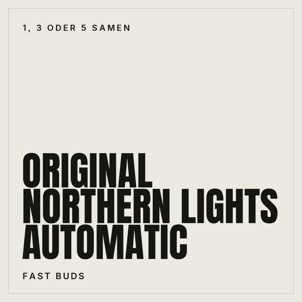 Fast Buds Original Northern Lights Samen - Autoflowering
