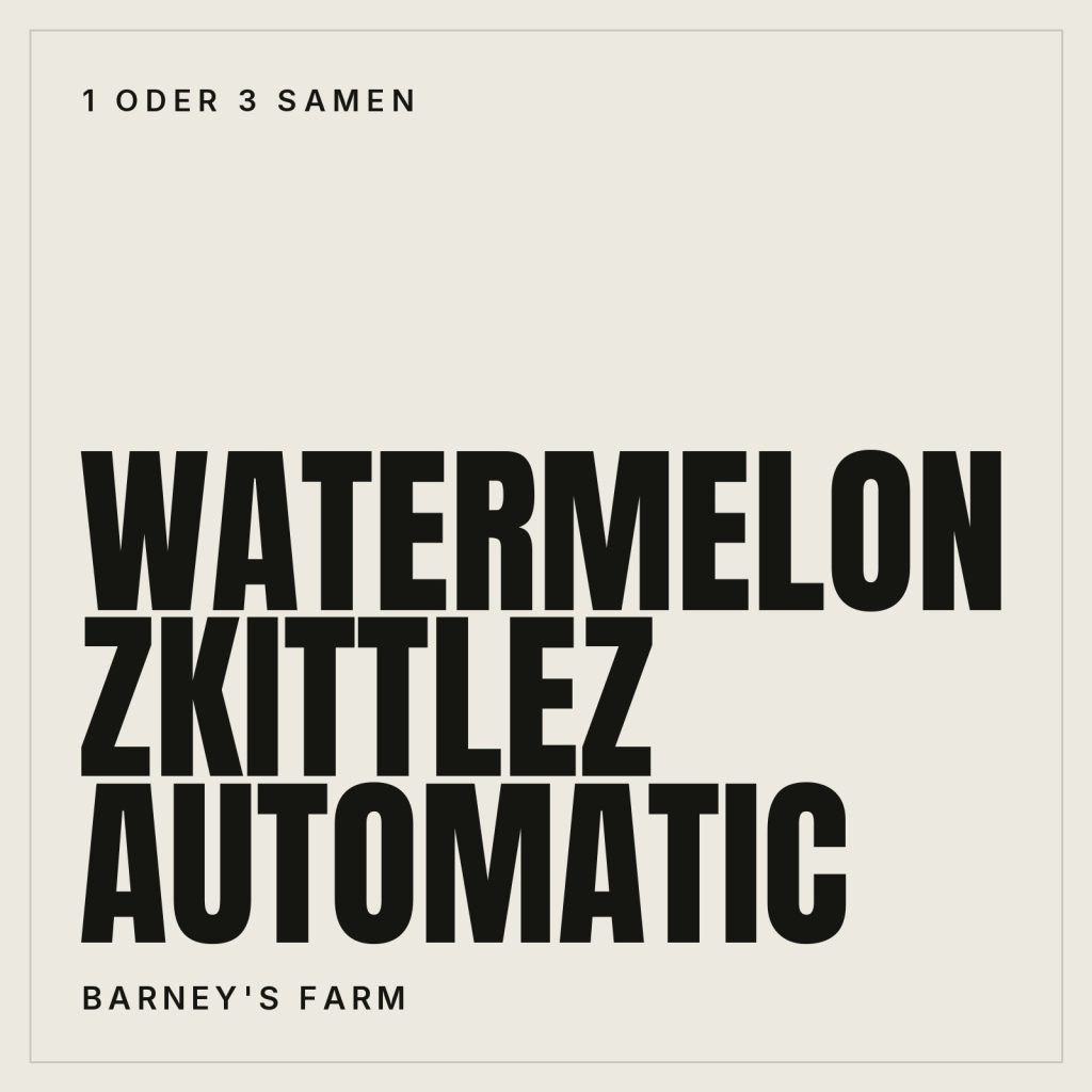 Barneys Farm Watermelon Zkittlez Automatic Samen