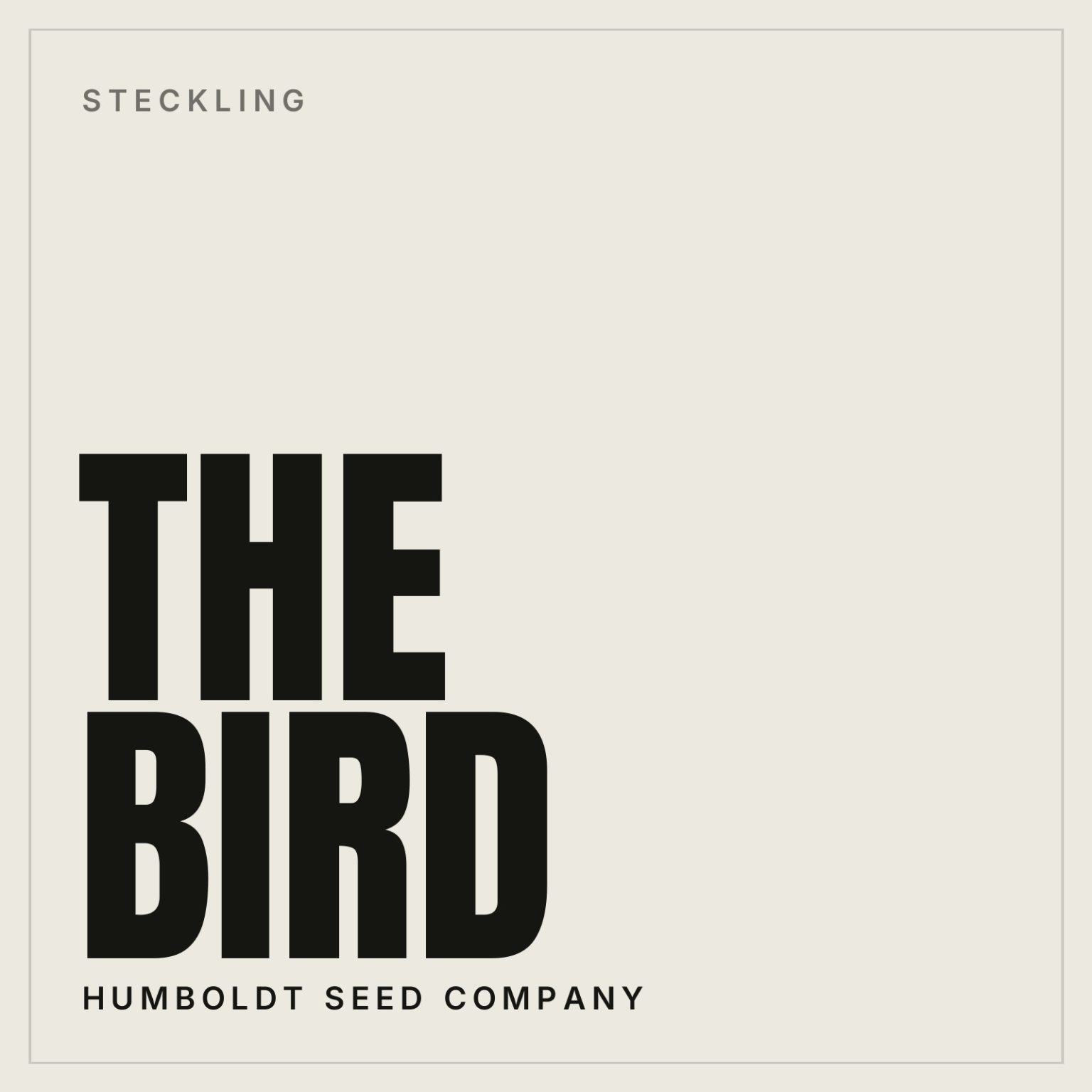 The Bird Steckling