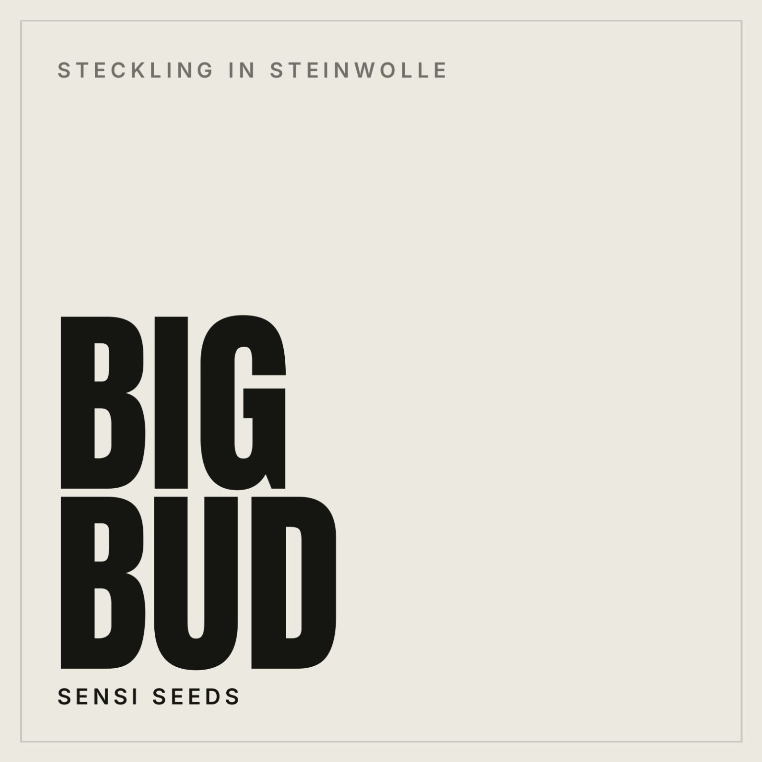 Big Bud Steckling