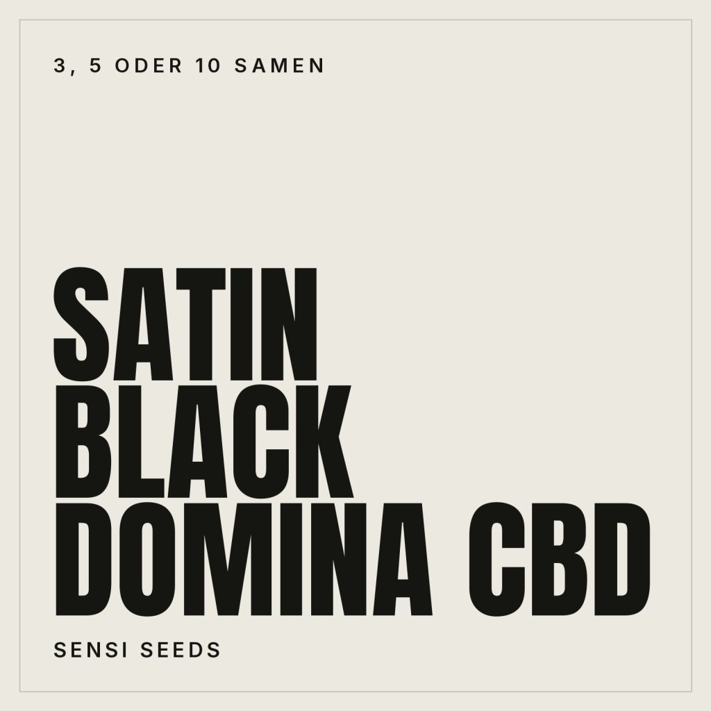 Sensi Seeds Satin Black Domina CBD Feminisierte Hanfsamen