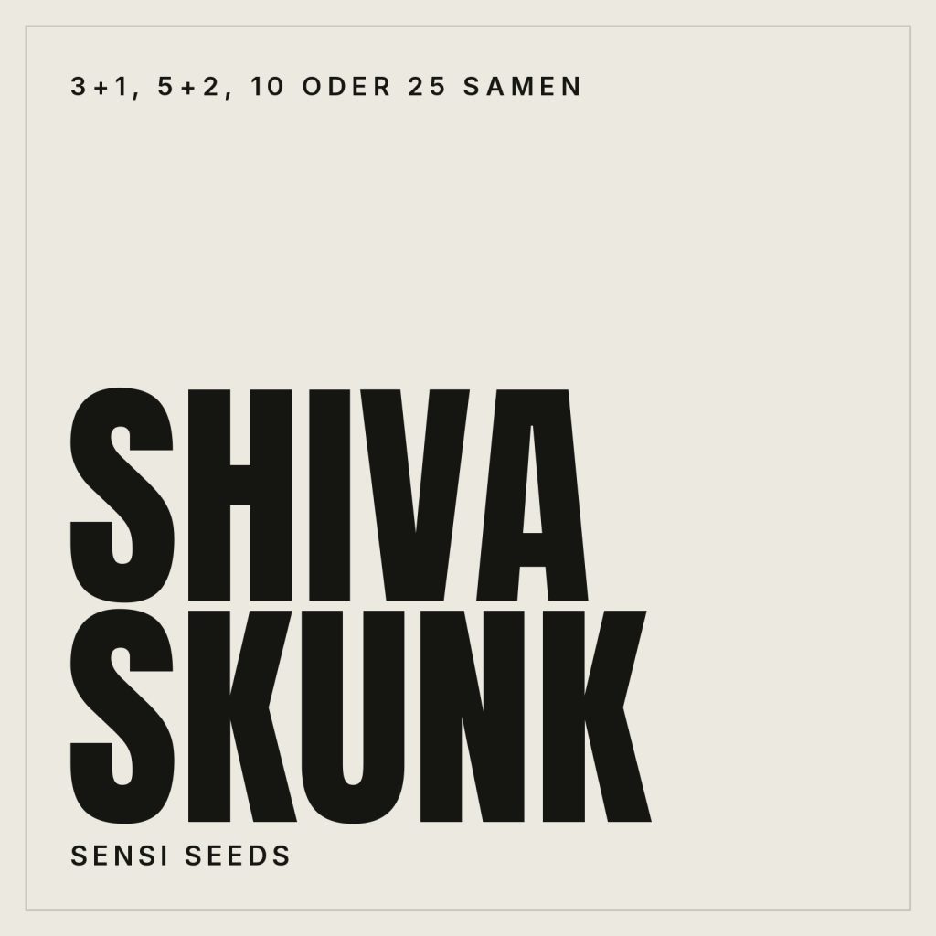 Sensi Seeds Shiva Skunk Feminisierte Hanfsamen
