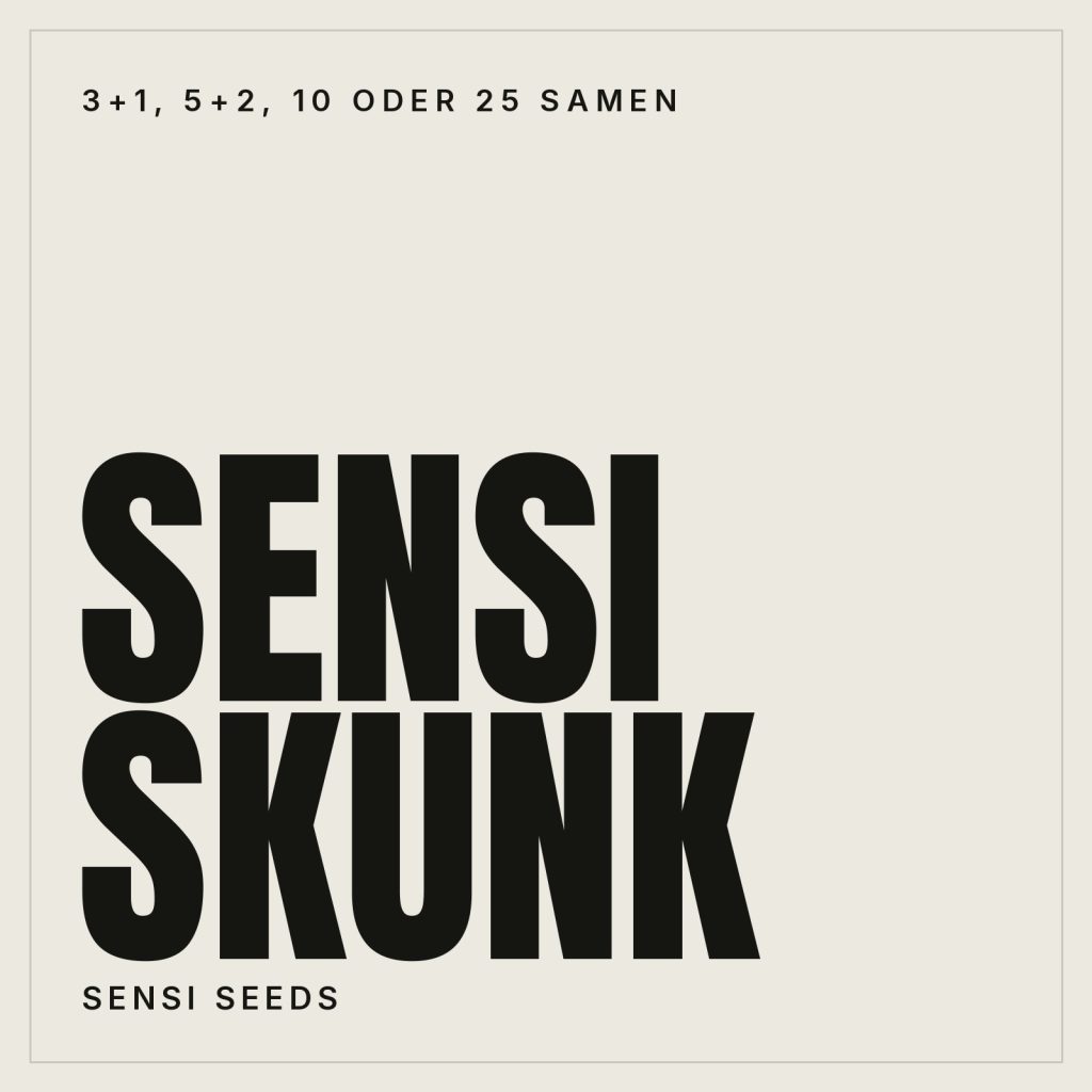Sensi Seeds Sensi Skunk Feminisierte Hanfsamen