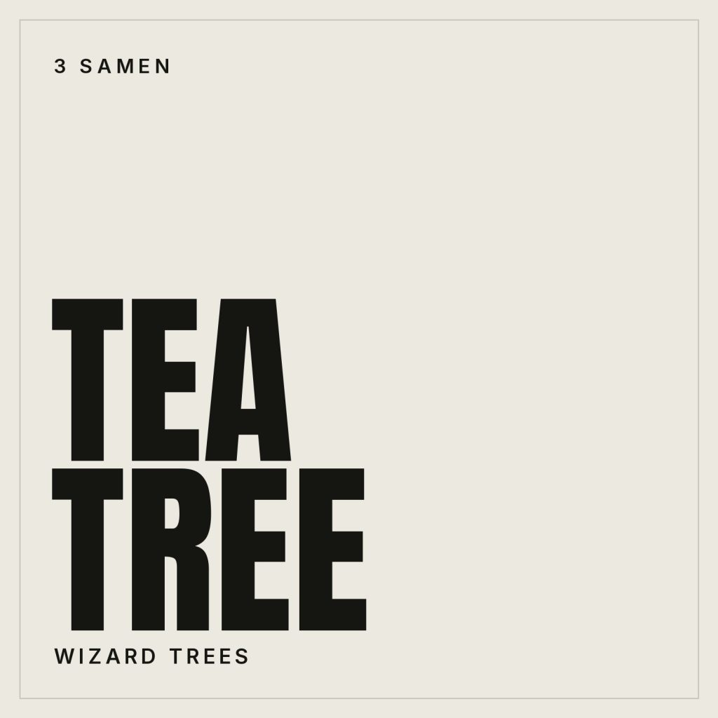 Wizard Trees Tea Tree Feminisierte Hanfsamen