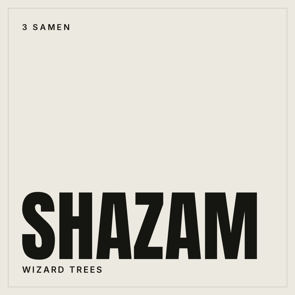 Wizard Trees Shazam Feminisierte Hanfsamen