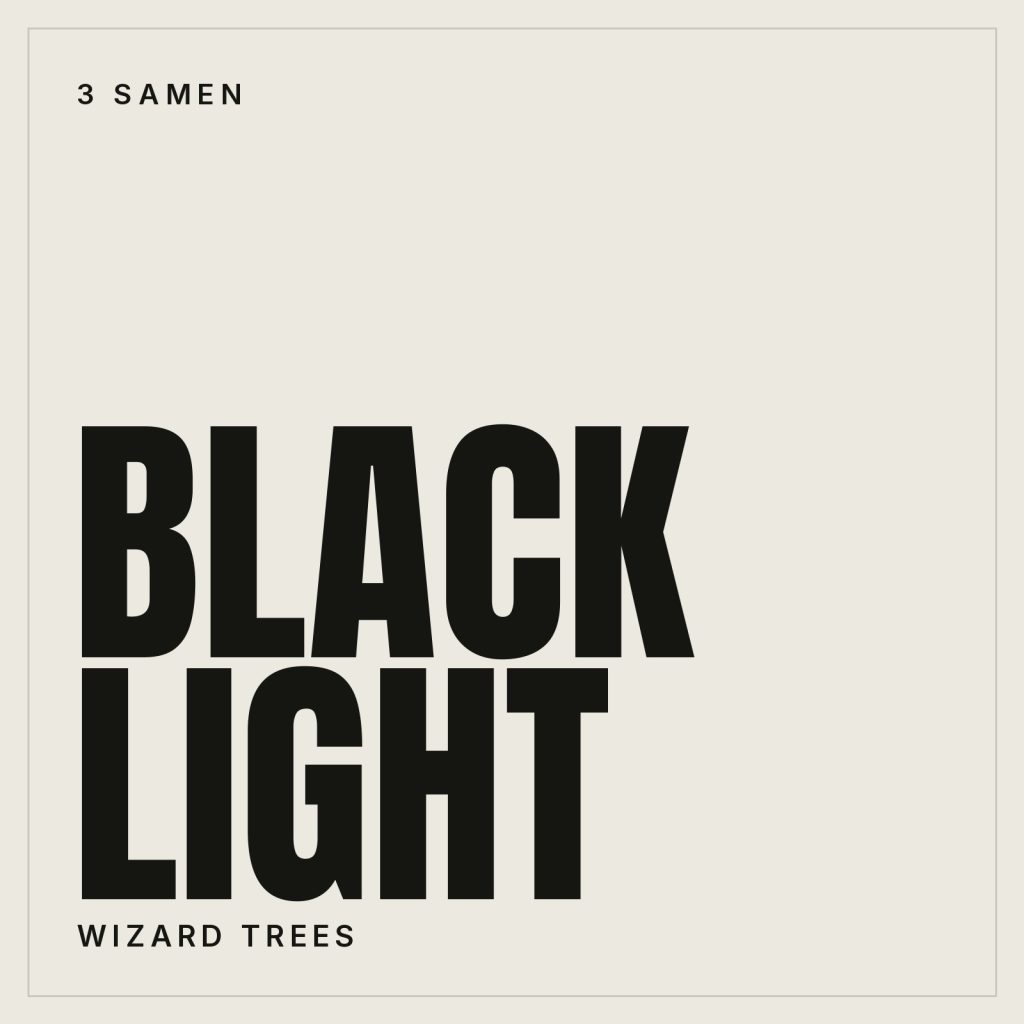 Wizard Trees Black Light Feminisierte Hanfsamen