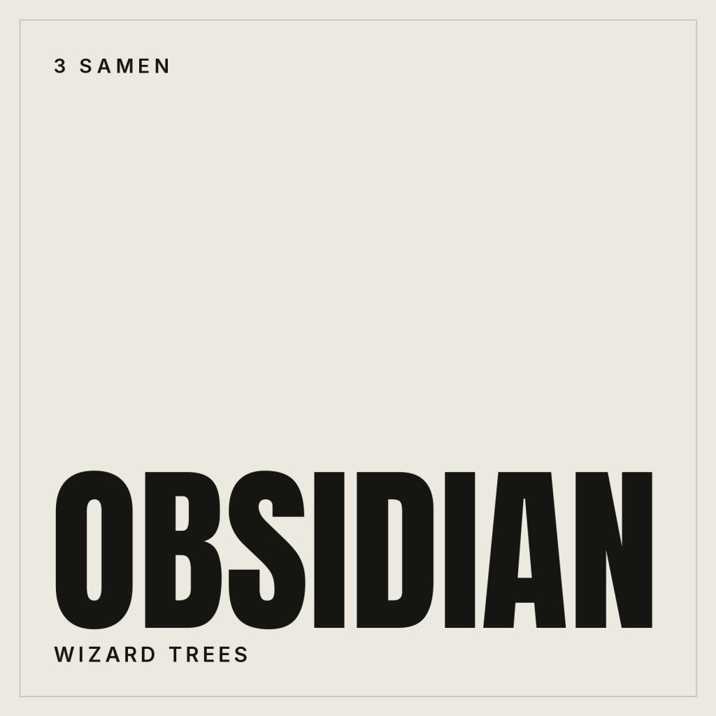 Wizard Trees Obsidian Feminisierte Hanfsamen