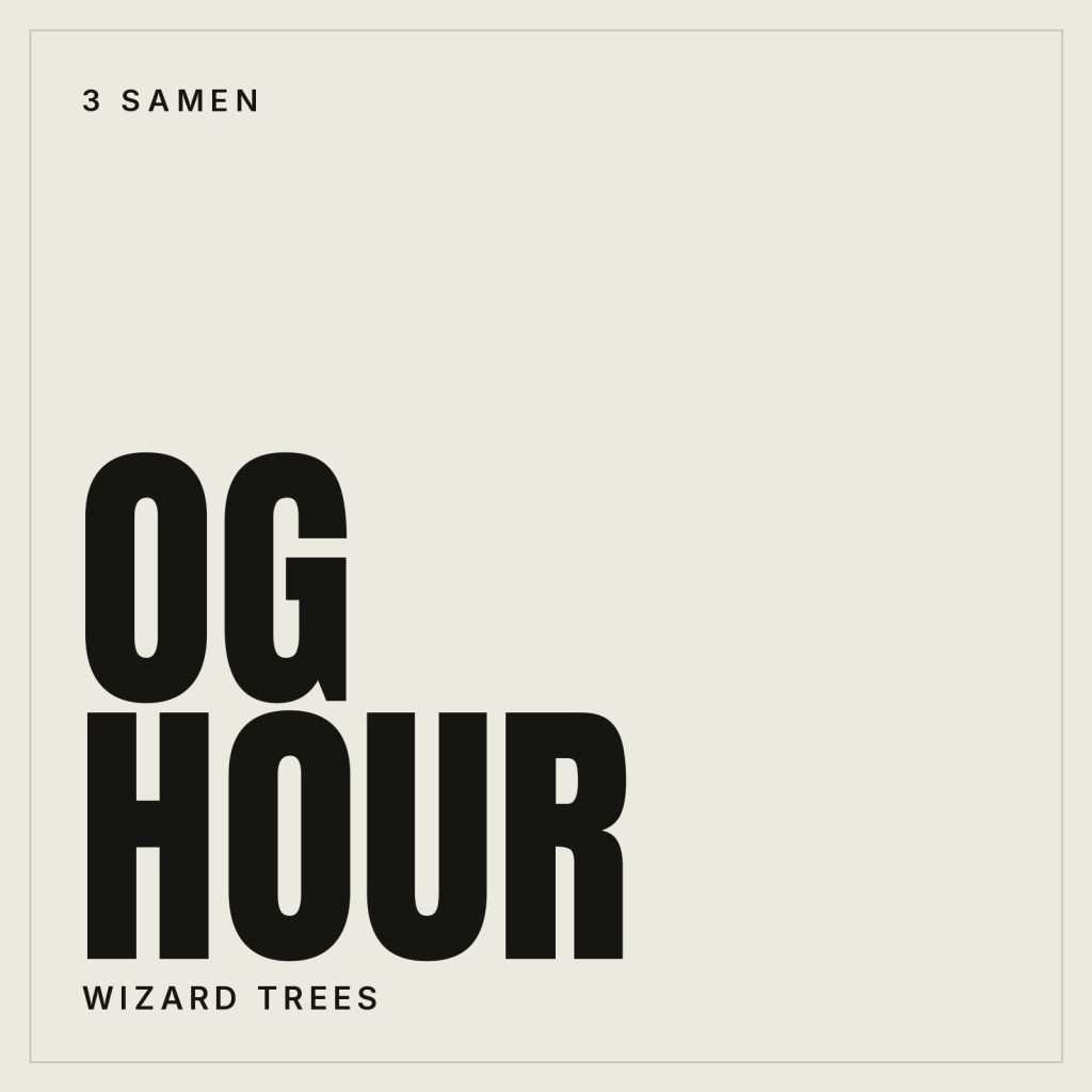 Wizard Trees OG Hour Feminisierte Hanfsamen