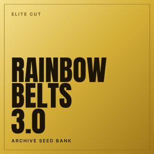 Rainbow Belts 3.0 Steckling
