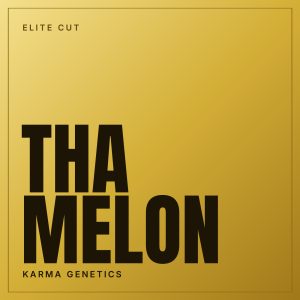 Tha Melon Steckling