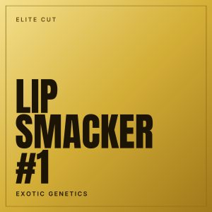 Lip Smacker #1 Steckling